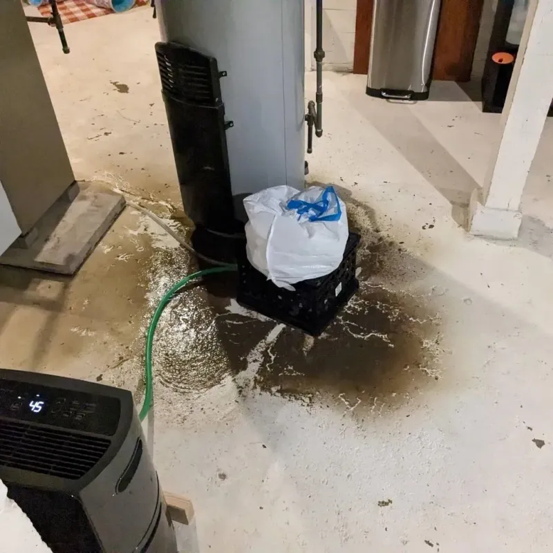 Sewage Backup Cleanup Service in Brent, AL